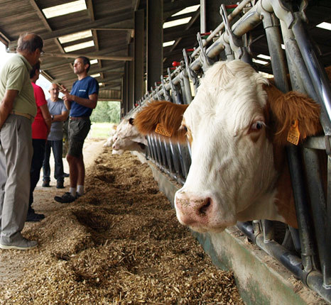 Fermes à visiter
